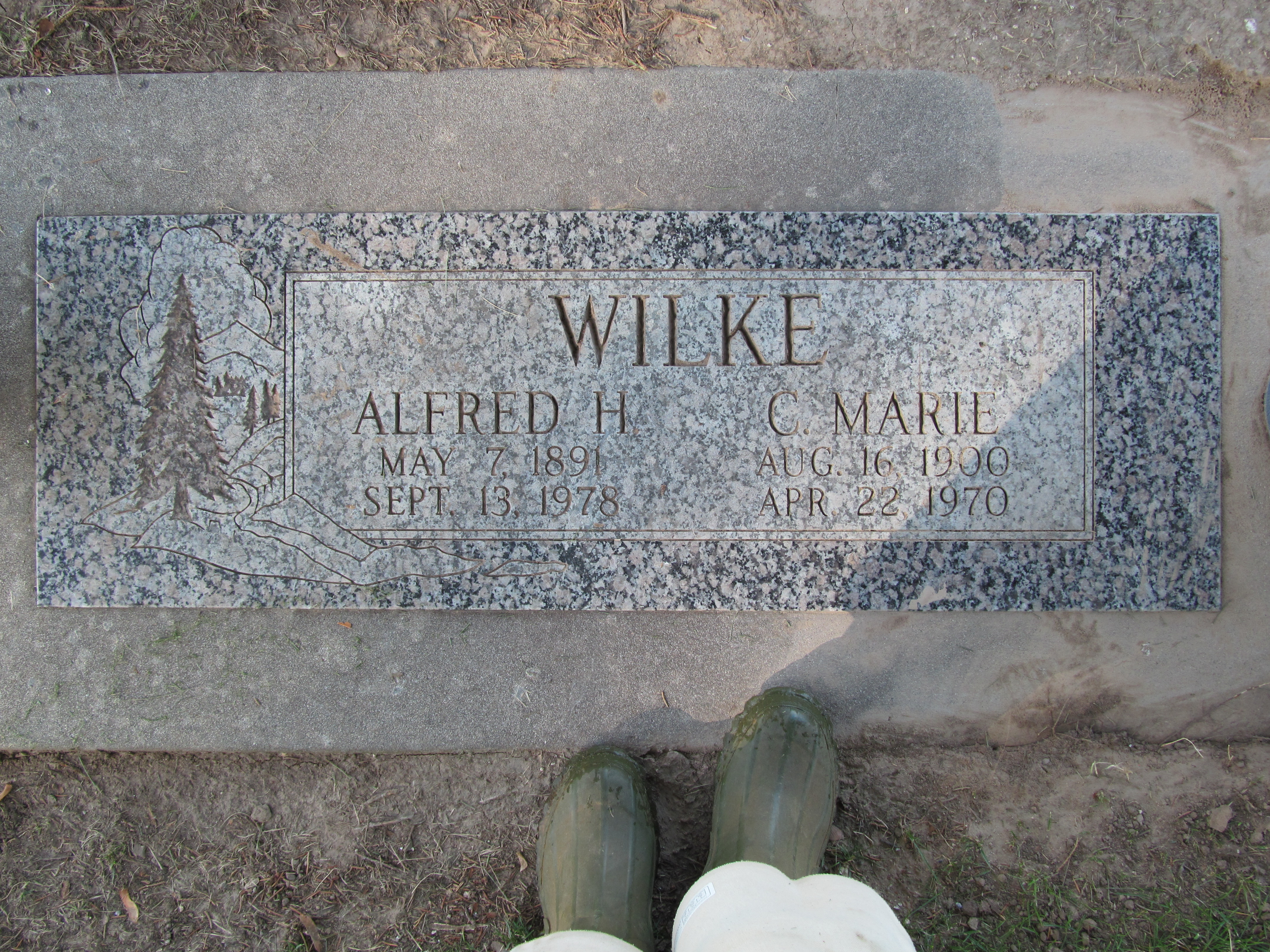 Alfred