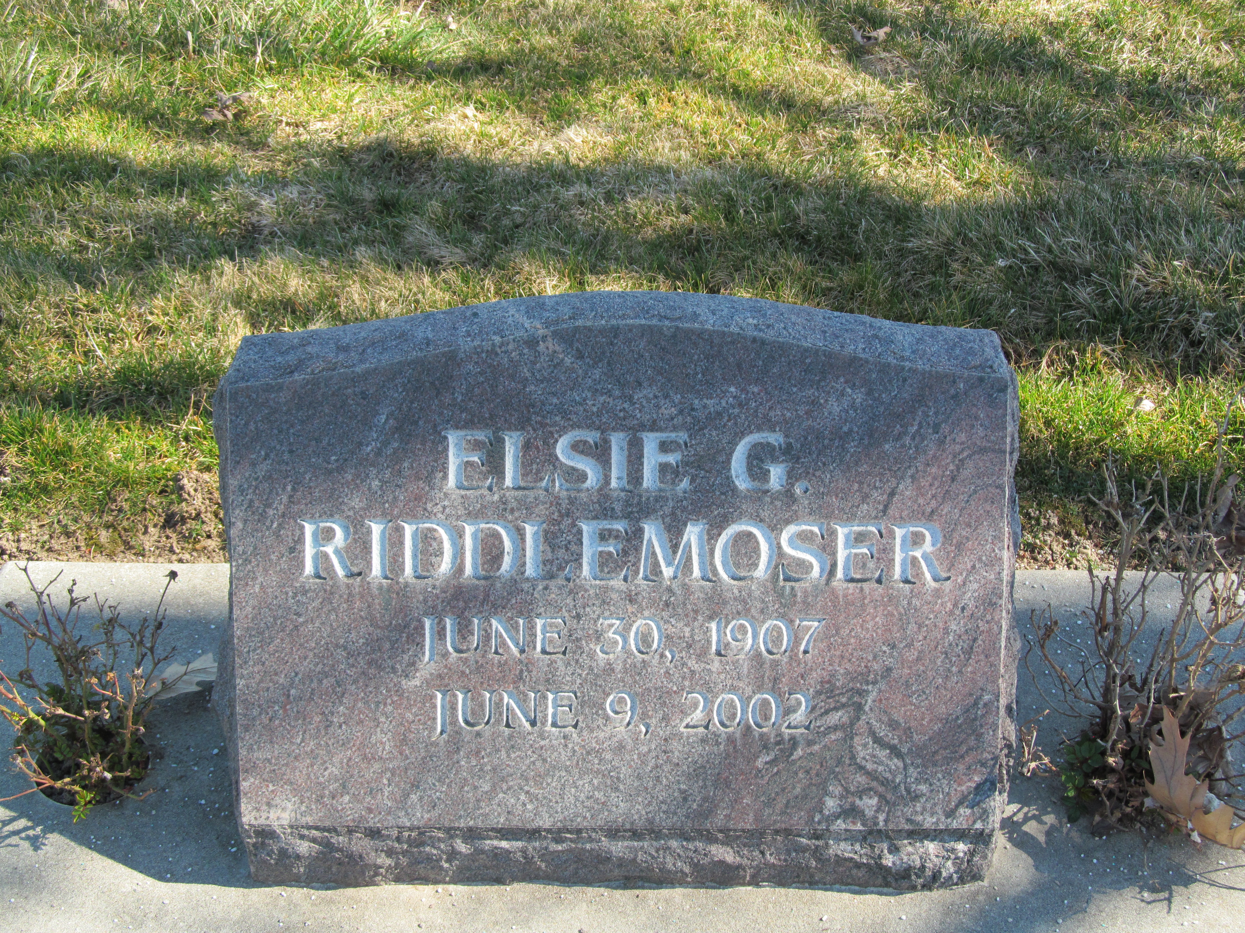 Elsie