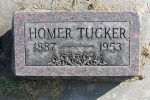 Homer