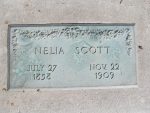 Nelia