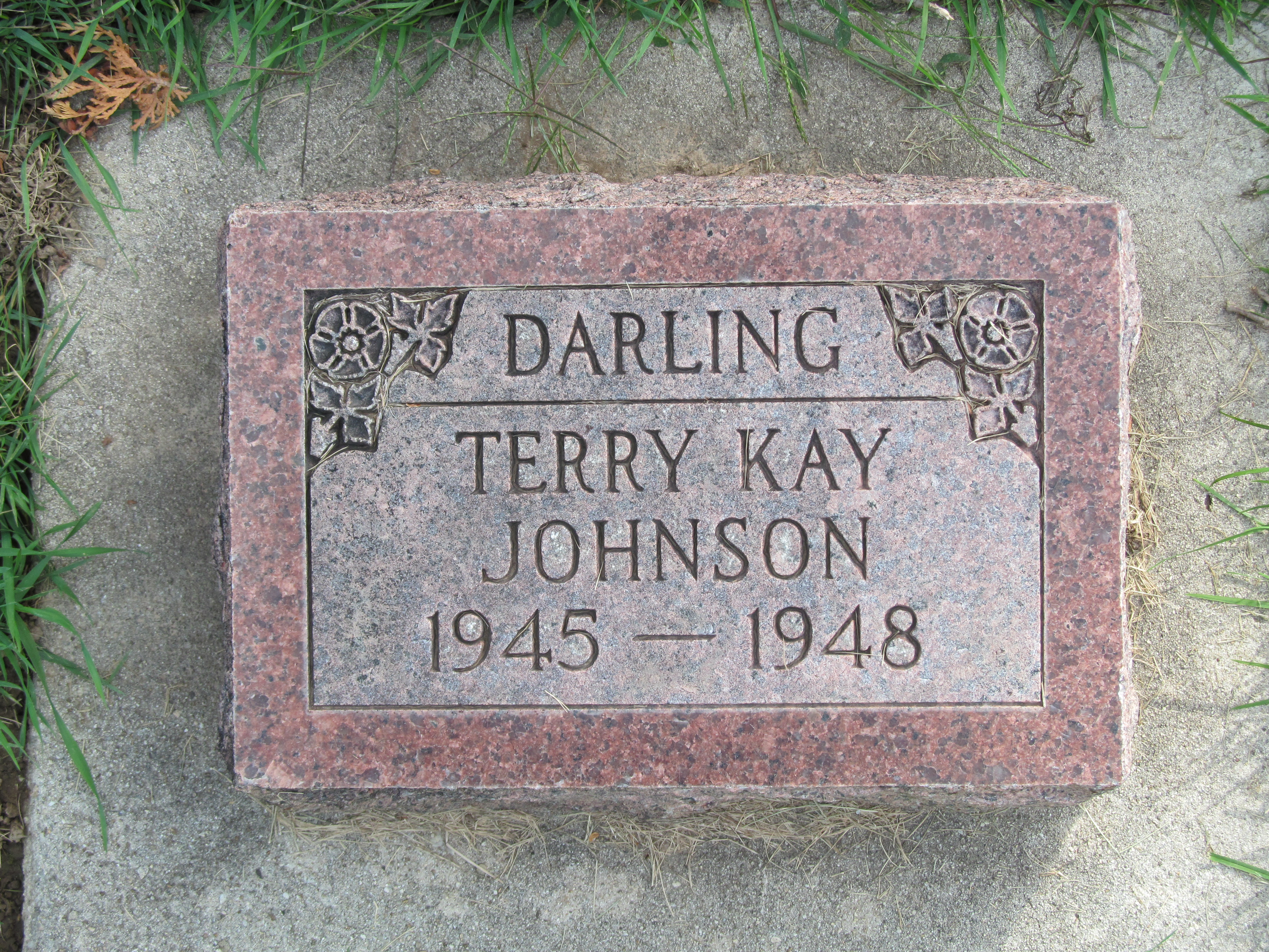 Terry