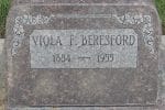 Viola