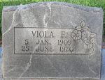 Viola