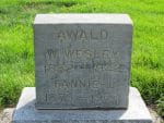 fannie